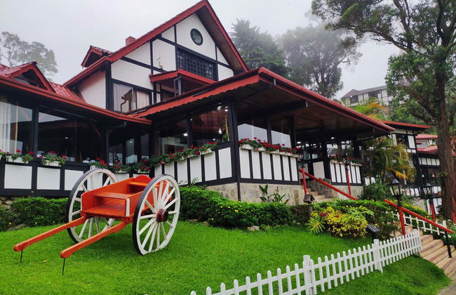 Excursión a Colonia Tovar - Foto 1