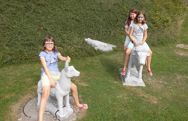 Erlebnishof Reiner - Foto 14