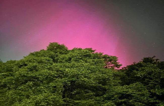 Hill-view Holiday Home in Dankerode Near Lake and Hiking - Foto 55