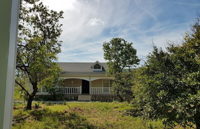 Palamut Ev - Photo 1