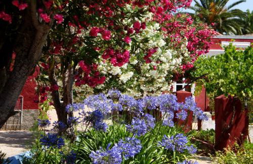 Quinta dos Reis - Photo 28