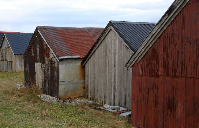 Alnes Gård - Photo 74