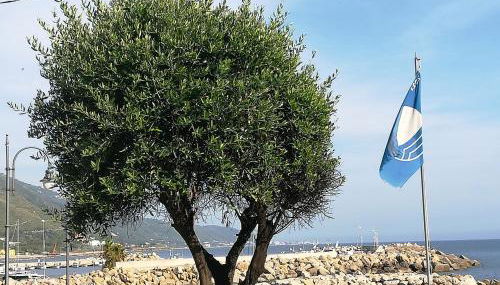 Casa Marinella - Foto 2