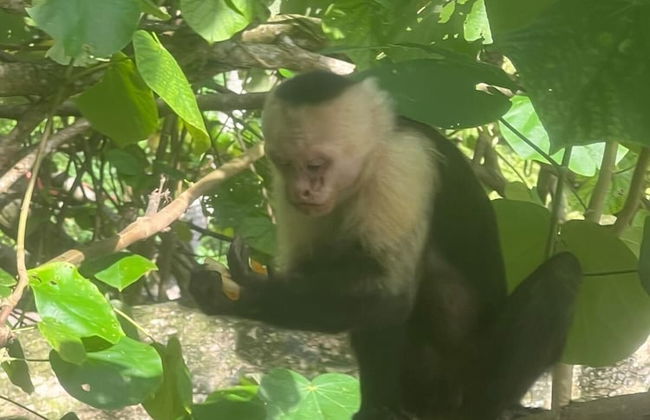 Casa de los Kobiera - Foto 38