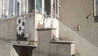 Maison à l'ancienne avec grand terrain , animaux bienvenus - Foto 2