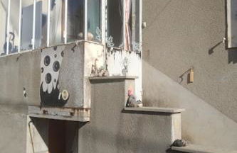 Maison à l'ancienne avec grand terrain , animaux bienvenus - Foto 2