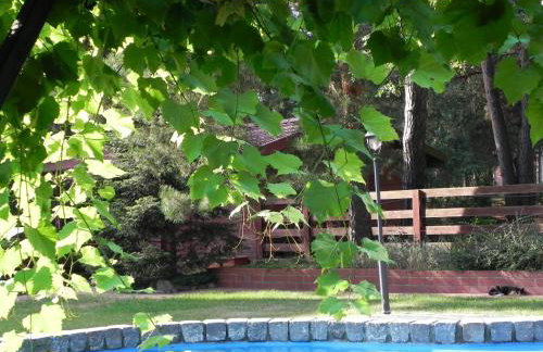 DOM 4 POKOJE Z BASENEM BLISKO WARSZAWY - Foto 23