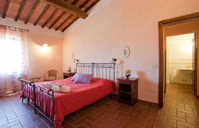 Fattoria Fibbiano - Foto 15