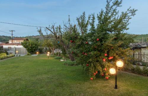 Castellano Vasiliki - Foto 14