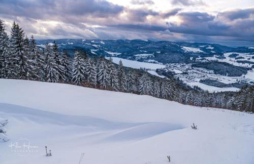 Haus Wiesenquelle - Fewo 10 "Uff'm Berg", Feldberg - Foto 23