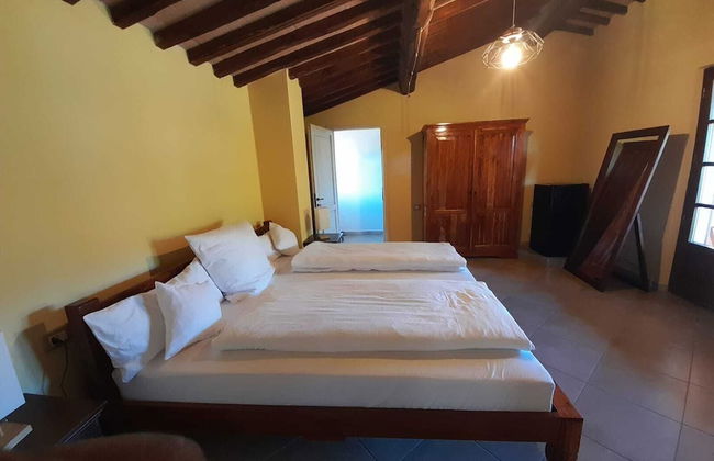 Tenuta di Seripa - Foto 38