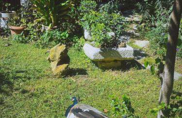 The Artist's Farm - Foto 17