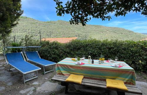 Apartment Asplanato - DOL162 by Interhome - Foto 18