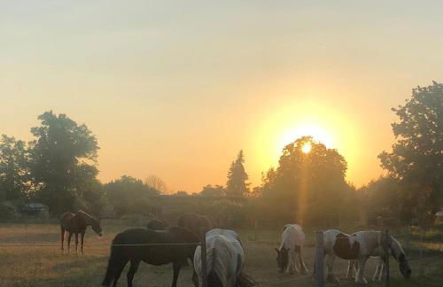 Haus Evelynchen Apartment 1 Deutschhof - Photo 22