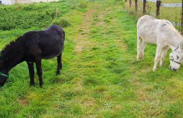 La Fermette des Ramolleux - Foto 16