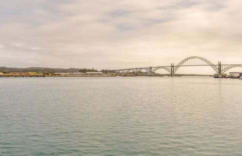 Coastal Garden - Anchor Pier Lodge - Photo 11