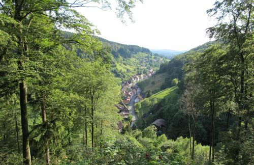 Hexenstieg House Lerbach - Foto 9