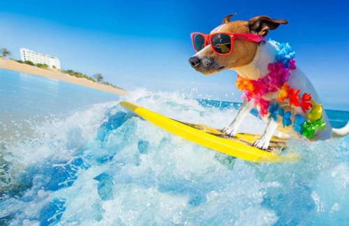 Beach Break House by the Surf - Foto 19