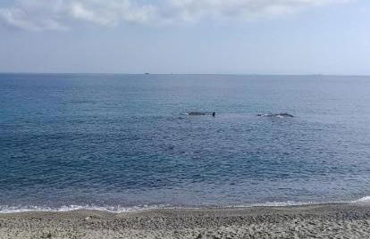 Villa Serena - Foto 8