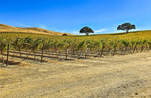 Pleasant Valley Wine Trail Home - Near Paso Robles - Photo 35