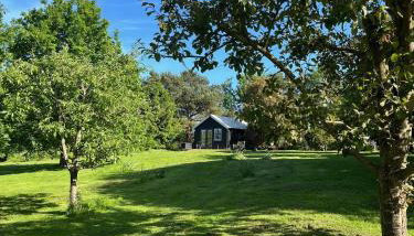 Provender beautiful views and intimate comfort - Foto 3