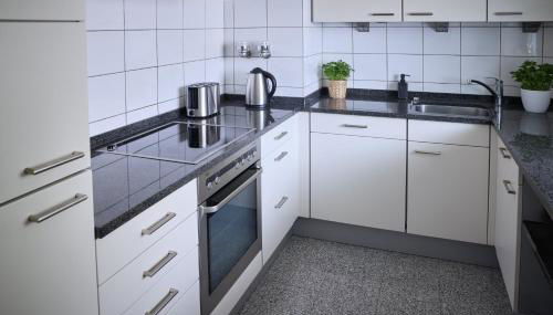 NIRO I Design Penthouse Apartment, Dachterrasse - Foto 5, stove, dishwasher, pet friendly