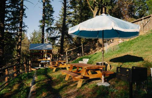 Apartment w hot tub forest & ocean view - Foto 26