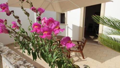 Home Holiday Salento Casa Agrosì Don Camillo - Foto 5