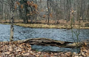 Serenity Falls - Stylish 4Bdr Mountain Retreat, Hot Tub, Pool - Foto 63