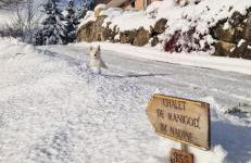 Chalet de Manigod - Foto 42