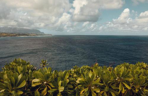 Banyan Harbor Resort - Foto 160