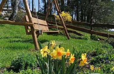 Zagroda nad Hańczą - Foto 34