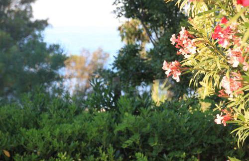 La collinetta sul mare - Foto 27