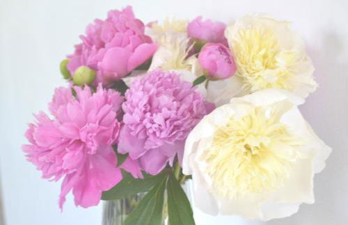 Les Bruyeres Gite - Foto 7