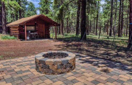 Rogers Cabin Historic Log Cabin in the Woods Near Grand Canyon Flagstaff - Foto 18