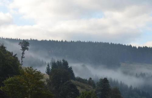 Ferienwohnung in Wildemann - Foto 23