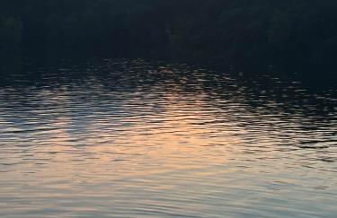 Lake Eagle Rock Lodge - Foto 26