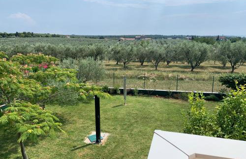 Apartments Rosa - Foto 10