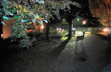 Casa del Cerbiatto, Lake Como a 5 chilometri da Argegno - Foto 15