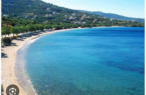 Althea Dream Summer House - Photo 51