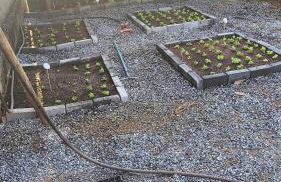 Recanto Vista do Sol- PISCINA AQUECIDA e Playground - 50 min de BH - Foto 42