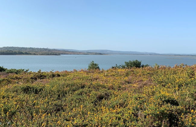 Summer by the Harbour - Foto 38