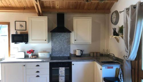 Cosy dog friendly lodge with an outdoor bath on the Isle of Wight - Foto 4