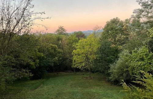 The Firefly Lodge at ShenandoahHot Tub~ View~Pets - Foto 12