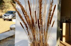 Apartamentos, Finca Contrabando Sanlucar del Guadiana, Huelva - Foto 71