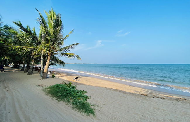 Thaprobana Villa Tangalle Private Villa - Photo 22