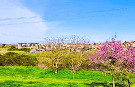 Rome Sweet Home - Foto 26