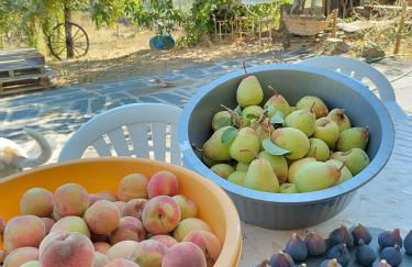 Casa da Lameira - Foto 22