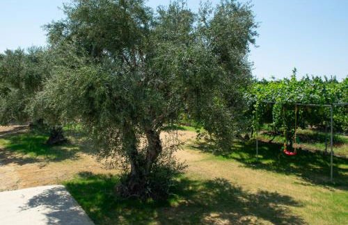 A wonderful relaxing place. Nice view. Romantic sunset - Foto 45