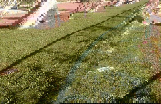 La Tana del Botti in Crespina - Photo 8